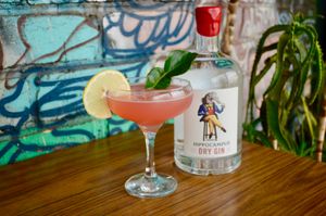 Hippo Tin Tin at Tyranny of Distance in Windsor