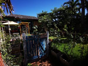 Thier lovely back garden at Bep Chay Co May in Vung Tau