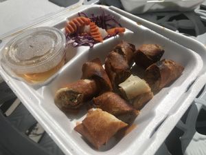 #1 Spring rolls at Fresh Mint in Scottsdale