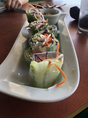 Summer rolls, with a peanut sauce, Yum! at Fresh Mint in Scottsdale