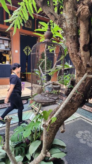 The cafe logo proudly on display. at Cafe Vida in Canggu