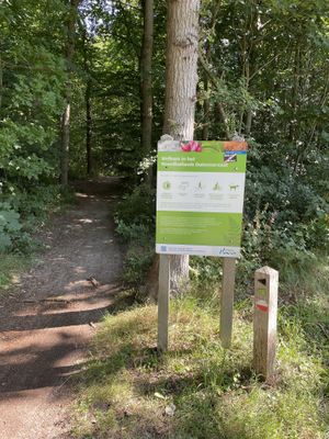 Nature walks  at Johanna's Hof in Castricum