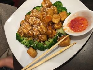 Tofu with broccoli at Coco Garden in Rochester