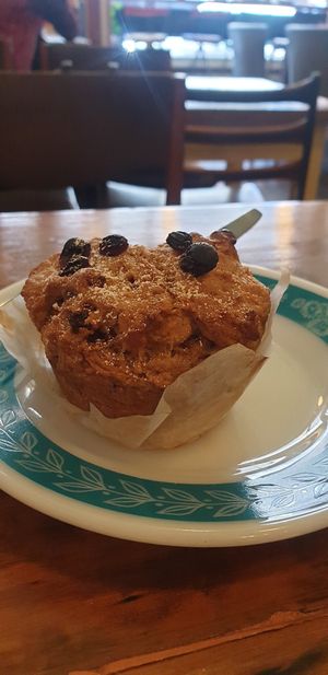 Carrot cake muffin at Plant Based Wholefoods in Katoomba