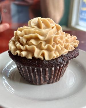   at Cobra Cabana in Richmond