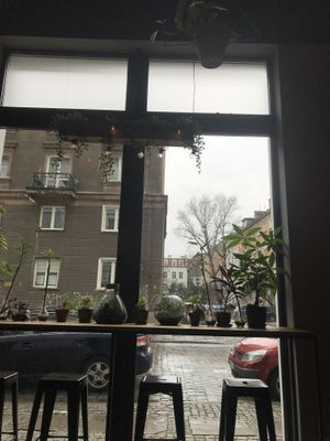 Plants! at Falla in Wroclaw