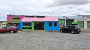 Hard to miss in this color scheme at Providence NZ in Dargaville