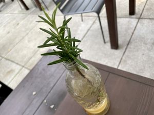 table at Sattgrün Kolumba Viertel - Mitte in Cologne