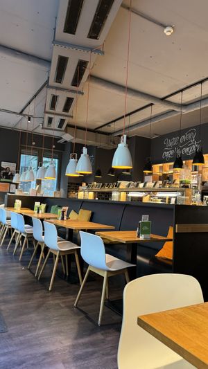   at Sattgrün Kolumba Viertel - Mitte in Cologne