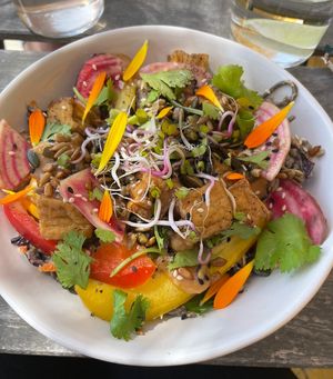   at Jord & Bord Örnahusen in Borrby