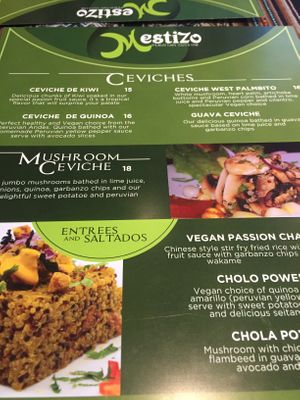 Vegan menu  at Mestizo Fusion Cuisine in West Palm Beach
