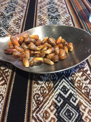 Toasted corn kernels  at Mestizo Fusion Cuisine in West Palm Beach
