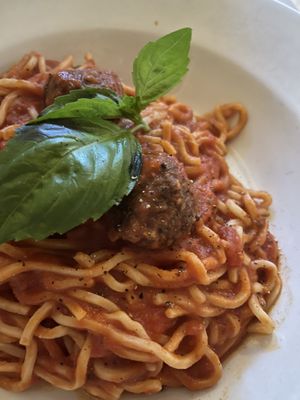 Spaghetti and vegan meatballs!  at Terramia Ristorante in Boston