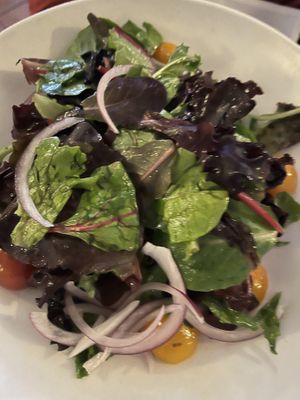   at Terramia Ristorante in Boston