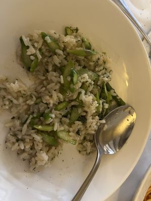   at Terramia Ristorante in Boston