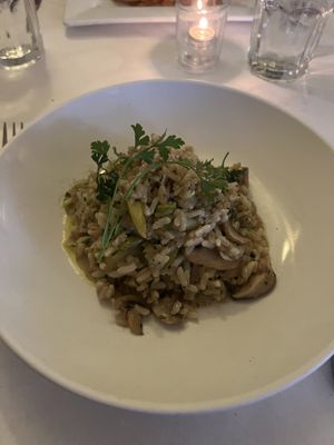   at Terramia Ristorante in Boston