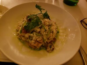 Vegan risotto at Terramia Ristorante in Boston