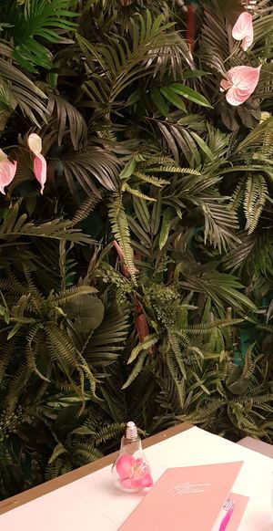 Wall at Kalifornia Kitchen in London