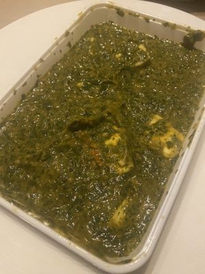   at Uit India in Alkmaar