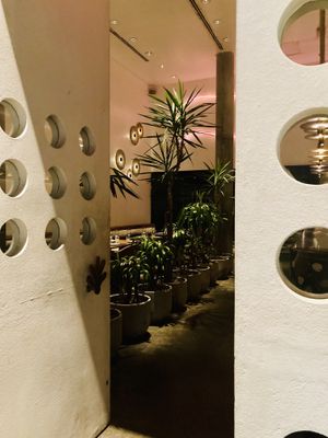 Inviting   at SACRO in Buenos Aires