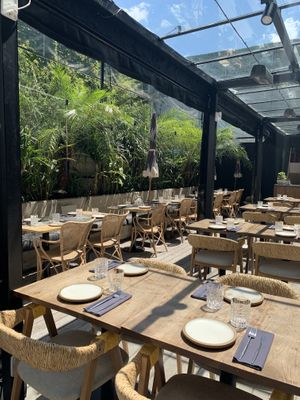 Patio at SACRO in Buenos Aires