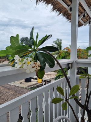  at Samadhi Living - Bliss Casa in 