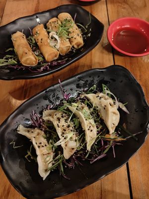 Spring Rolls & Gyoza Dumplings at Ensō Sushi in Manuel Antonio
