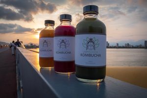 Lady Kombucha is a premium organic brand in Danang Hoi An- Central Vienam. You can buy this drink in many other organic shops in Danang like: Healthy Farm, Roots Plant Based at Lady Kombucha in Da Nang