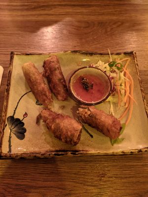 Spring rolls at Quan Xanh in Leipzig