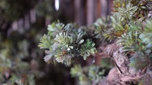 interior at Secret Garden in Berlin