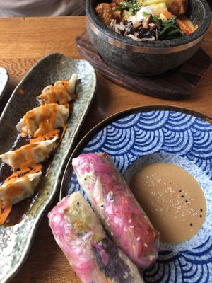 Spring rolls and dumplings   at Secret Garden in Berlin