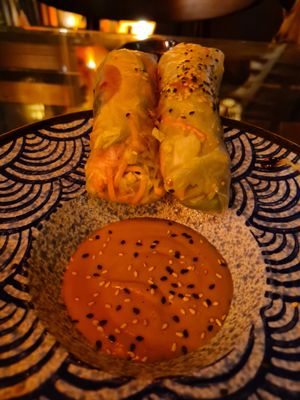Summer rolls and peanut dipping sauce at Secret Garden in Berlin