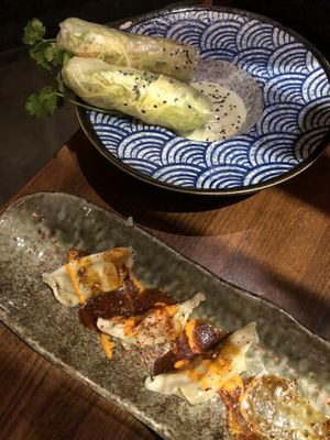 Summer roll and dumplings   at Secret Garden in Berlin