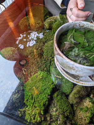  at Secret Garden in Berlin