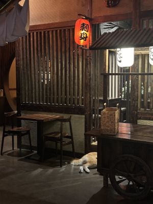   at Secret Garden in Berlin