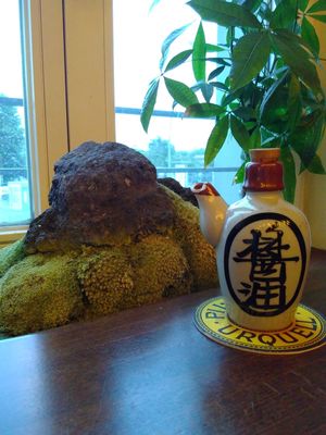 Window decorations at Secret Garden in Berlin