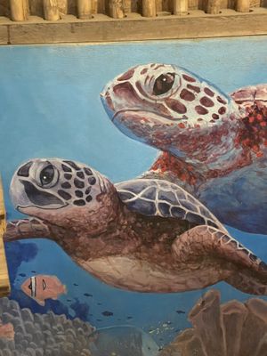   at Black Sheep in Mancora