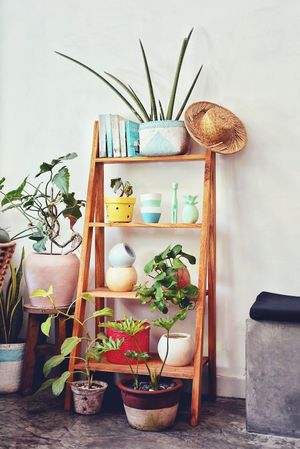 really cute venue! at Botanik in Kerobokan Kelod