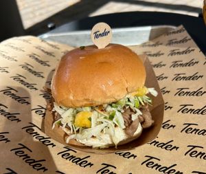 Tender foods pulled pork at Saus  at Saus at Bow Market in Somerville