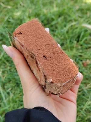  at Le Petit Colibri in Lyon