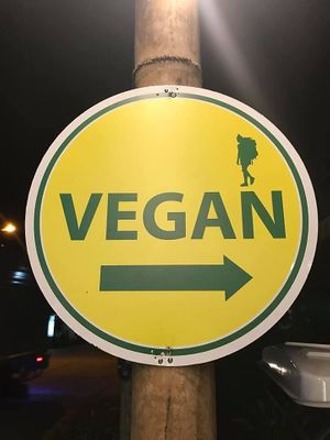 VEGAN ONLY at Vegan Phangan in Koh Phangan