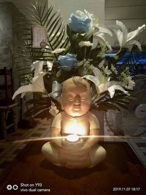 VEGAN PHANGAN at Vegan Phangan in Koh Phangan