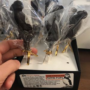 Small vegan puffin pops at Bixby & Co in Rockland