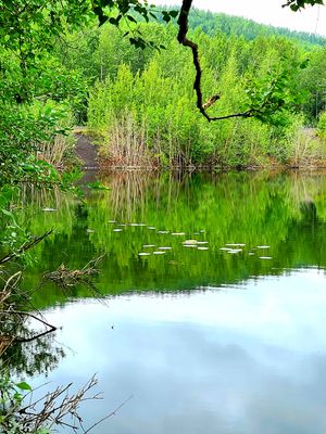  at Mooses Tooth in Anchorage