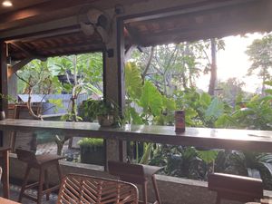 Atmosphere   at Manggis in Canggu in Canggu