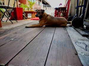 Welcoming host at Mia's Hangout in Krabi