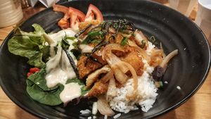 Vegan katsu don at Brainwave Cafe in Sydney