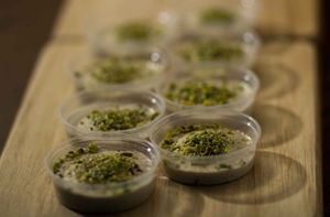  at Abou Abdallah Restaurant in Beirut