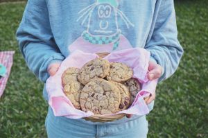 vanilla vegan cookies with chocolate  at Aluado's in Pelotas