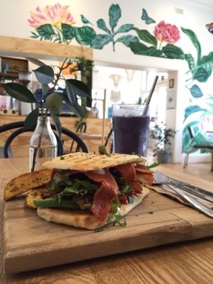 BLOAT at Joy of Flora in Adelaide